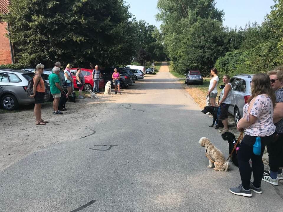 Foto aus der Hundeschule Gülzow