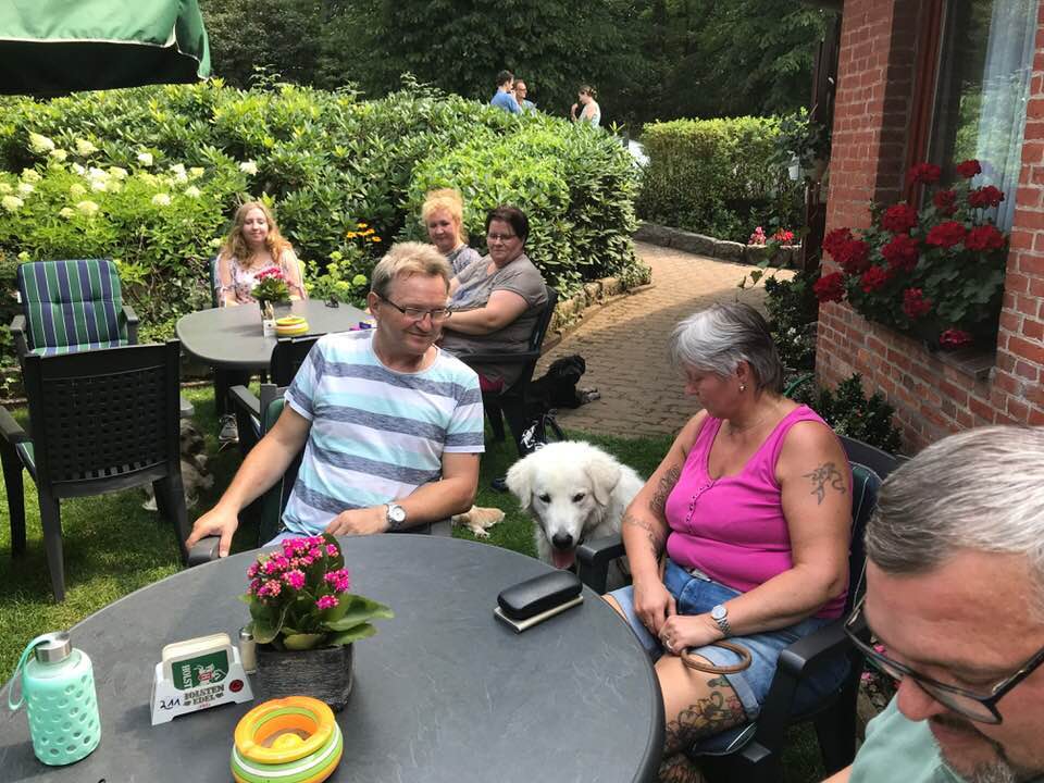 Foto aus der Hundeschule Gülzow