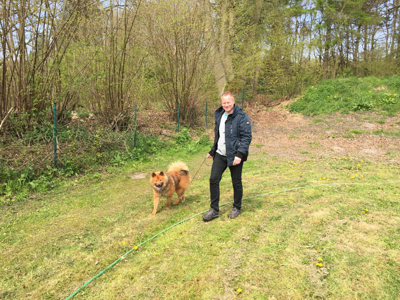 Foto aus dem Training der Hundeschule Gülzow