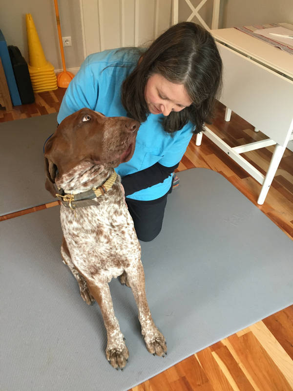 Foto aus dem Training der Hundeschule Gülzow