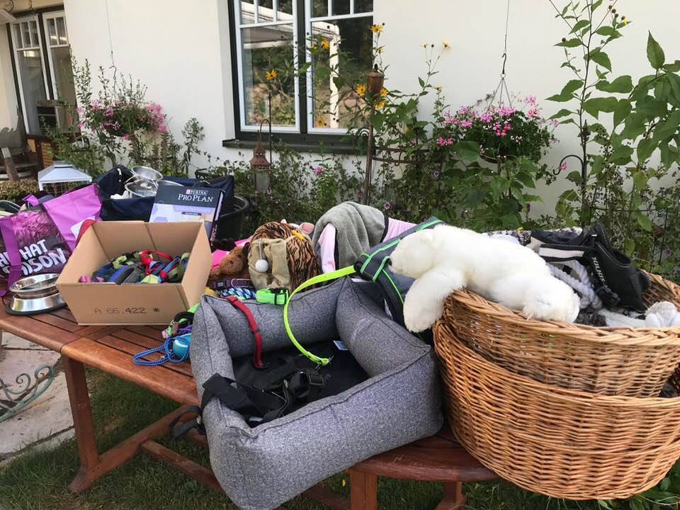 Foto aus der Hundeschule Gülzow