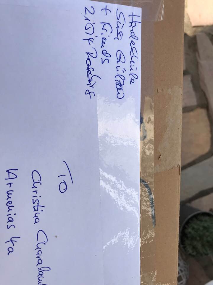 Foto aus der Hundeschule Gülzow